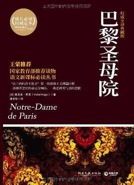 《巴黎圣母院》讀后感500字：命運(yùn)的交響曲，揭示巴黎圣母院中的人性掙扎與愛恨情仇！