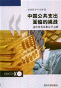 中國公共支出面臨的挑戰(zhàn) 中國公共支出面臨的挑戰(zhàn)