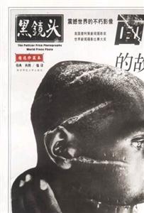 《面孔的故事》讀后感400字：臉龐背后的萬象，揭示面孔所承載的情感與命運！