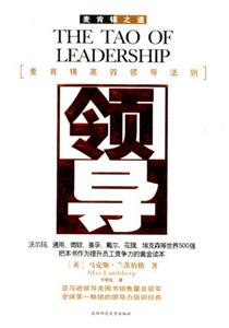 《領導麥肯錫高效領導法則》讀后感600字：卓越領導的奧秘，揭示麥肯錫式領導的成功之道！